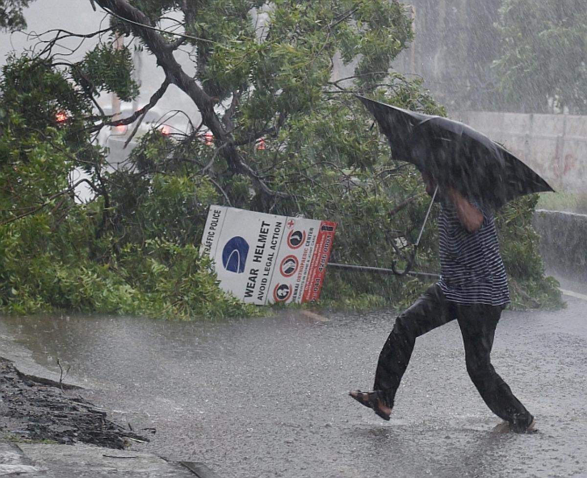 Cyclone Vardah: Power supply being restored in AP